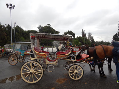 We traveled by horse-drawn carriage on our Princes’ Islands visit.