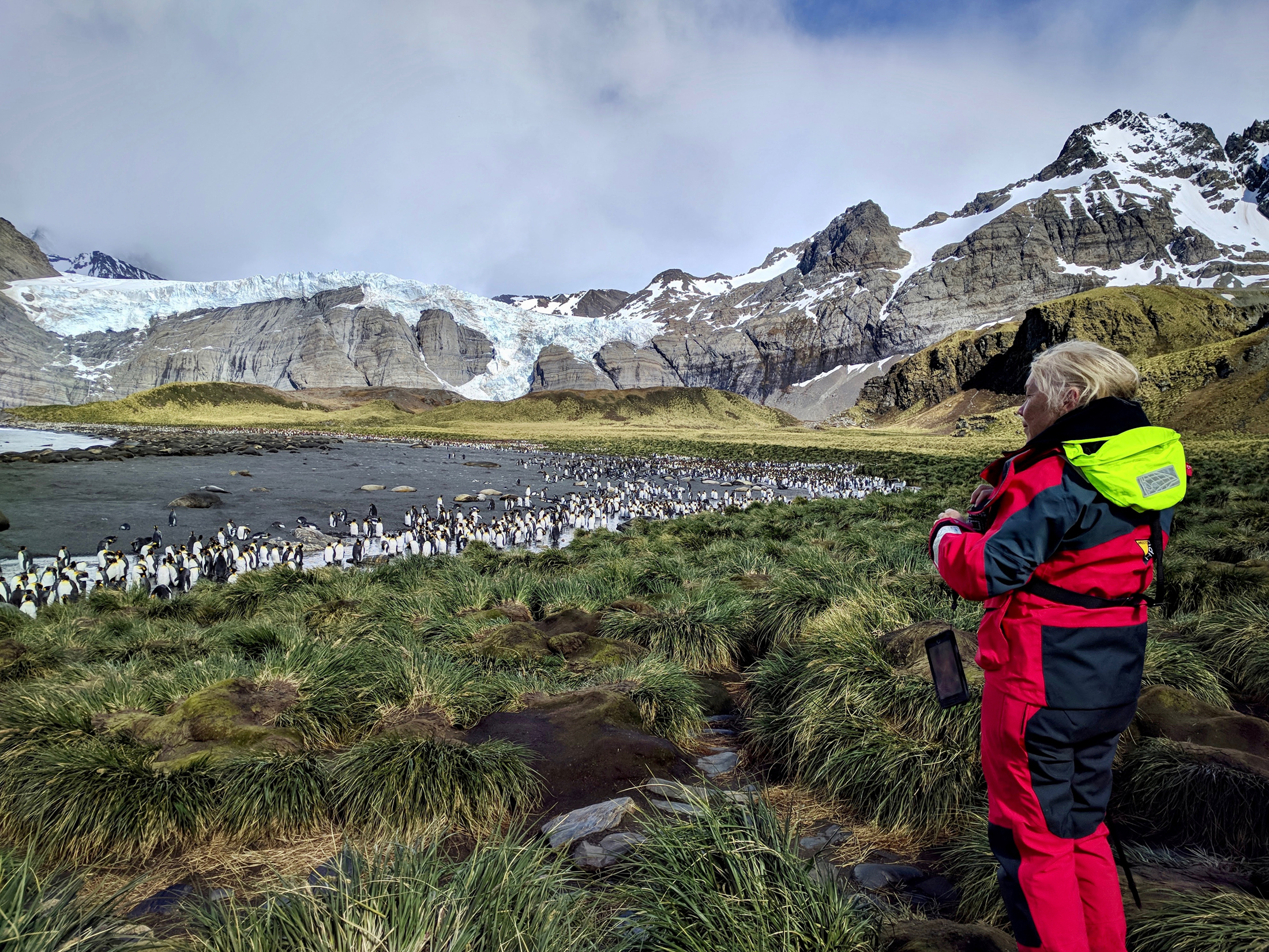 Wonderful wilderness and wildlife on a cruise to South Georgia and the Falkland Islands