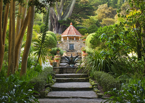 Tresco Abbey Garden, Isles of Scilly