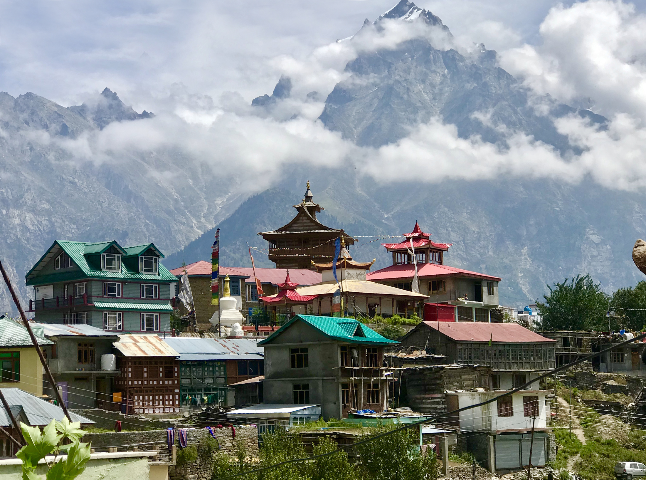 Discovering the diversity of the Indian Himalayas