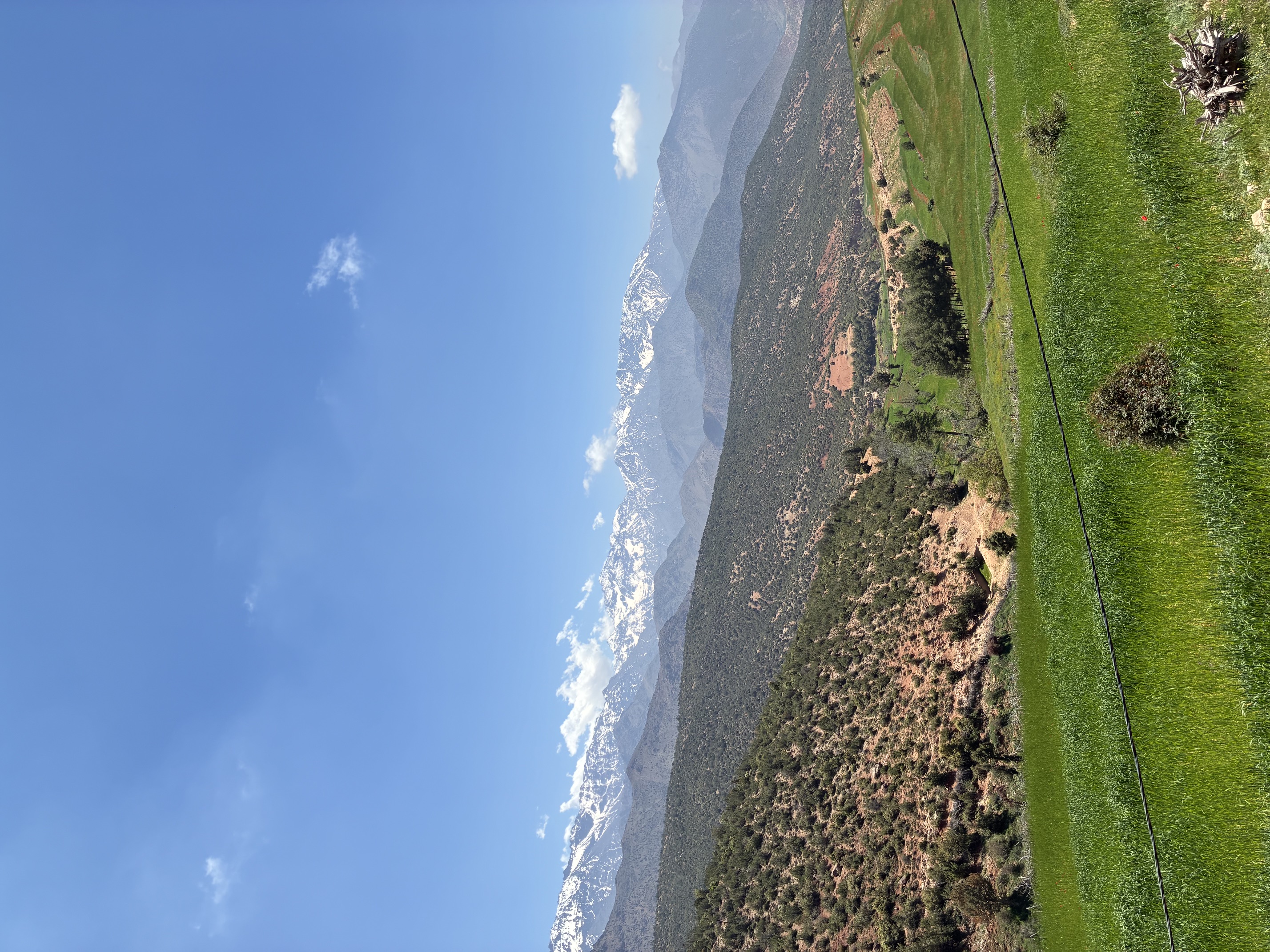 Green terraced fields and pine-dotted foothills lead toward the snow-capped High Atlas Mountains under a clear blue sky in Morocco
