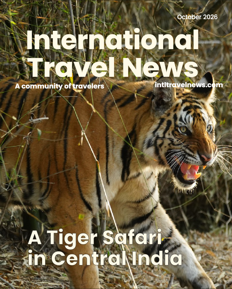 A tiger on the cover of a magazine