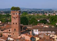 One of Lucca’s surviving towers is the Torre Guinigi, with 227 steps leading up to a small garden of fragrant trees. Photo by Dominic Arizona Bonuccelli