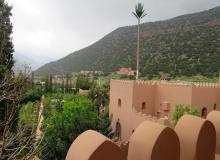 Cell phone tower disguised as a palm tree at the Kasbah Tamadot hotel in Asni, Morocco. Photo by Stephen Addison