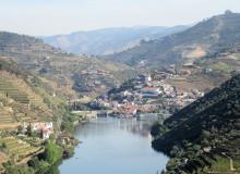 Quinta do Seixo vineyards and the town of Pinhão (and our docked ship, Queen Isabel, at back right). Photo by Stephen Addison