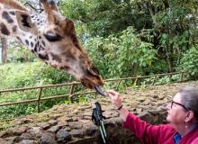 Giraffe tongues are purple. Photo by George Anderson