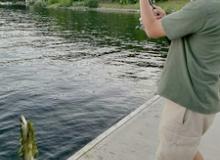 Adrian Dass pulling a muskie from Lake Stoney. Photo by Wendi Dass