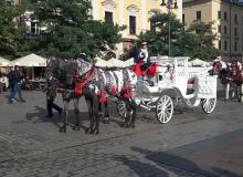 Kraków’s main square, where carriages await visitors.