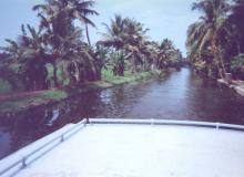 Jean Fischer’s photo of a narrow channel she visited in India’s Kerala backwaters during a cruise ship shore excursion in 2012