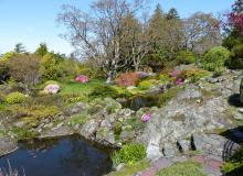 Ponds were created in the natural indentations of granite boulders — Abkhazi Garden.