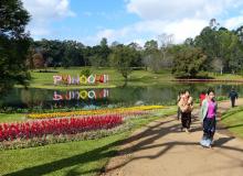 The reflective lake in National Kandawgyi Gardens — Myanmar. Photos: Yvonne Horn