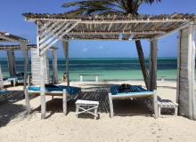 An idyllic, peaceful scene — palm-tree shade, white sand and the turquoise ocean.