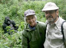 A gorilla photobombing Brenda and George Milum in Rwanda.