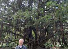 This banyan tree in the botanical garden El-Hamma Jardin d’Essai was used by Johnny Weissmuller in at least one of his 1930s Tarzan movies — Algiers.