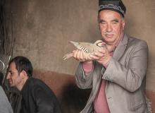 In the blacksmith section of the central market of Istaravshan, Tajikistan, the shops also serve as gathering places. This gentleman was proud to pose for us with his quail used in bird fights (April 2017). Photo by Nick Stooke