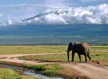 Mt. Kilimanjaro and a local resident.