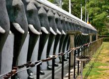 The Elephant Wall of the Ruvanwelisaya Dagoba — Mahavihara, Anuradhapura, Sri La