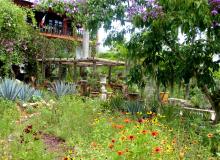 Hacienda de Oro visitors' center and restaurant is at the heart of the gardens.