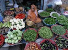 In the streets of Jodhpur, a woman displays the wealth of vegetables available to shoppers.