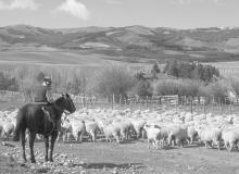 Border country ranches produce the world’s finest-quality merino wool — northern Patagonia.