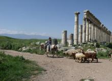 A young shepherd in Apamea.