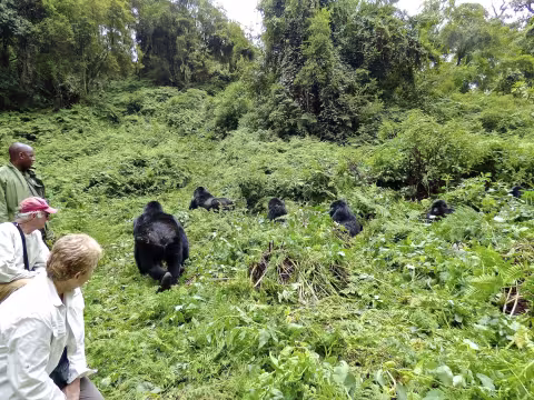 Adelman_Rwanda 542.JPG