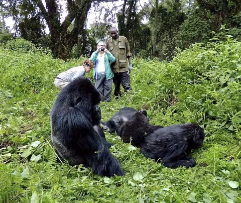 Adelman_Rwanda 576.JPG