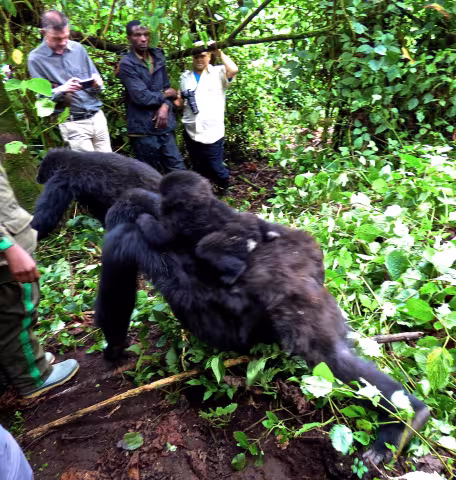 Adelman_Rwanda 818.JPG