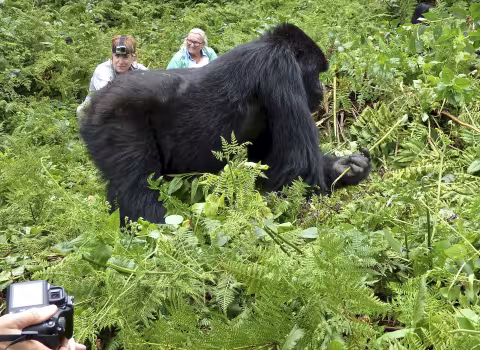 Adelman_Rwanda_469.JPG