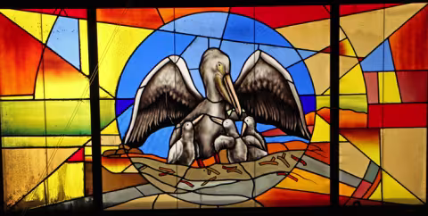 Bahde_3_Pelican_rgb.jpg