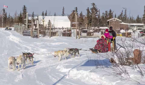 Brandes Dog Sledding.jpg