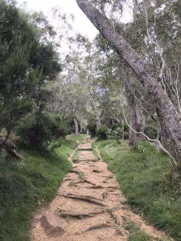 Cabot_3935_hiking.JPG