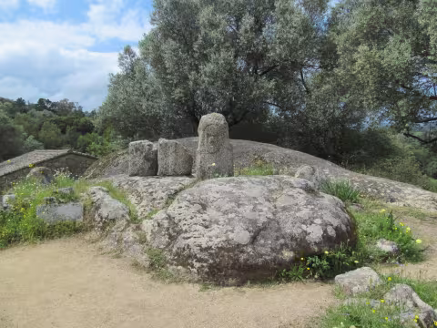 Corsica_5540.jpg
