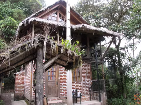 Cubbon_F9_One_of_the_accommodation_lodges_at_Bellavista_7874.jpg