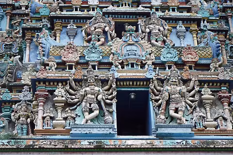 Hicks_India 11 rgb.jpg