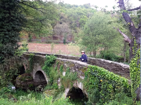 Horel_1_Don,_Rough_Bridge_Sarria.JPG