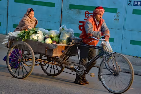 India_8974.jpg