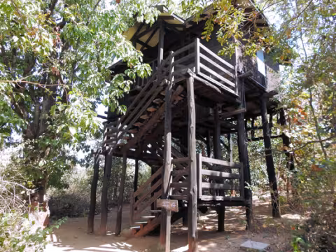 India_treehouse_rgb.jpg