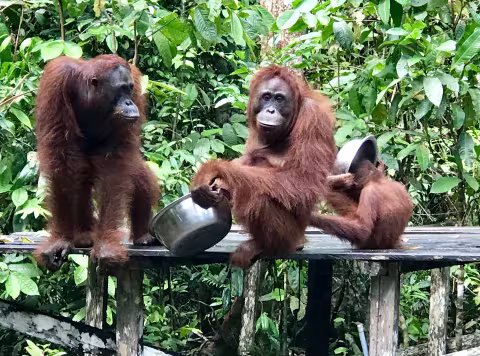 Indonesia_8314.jpg