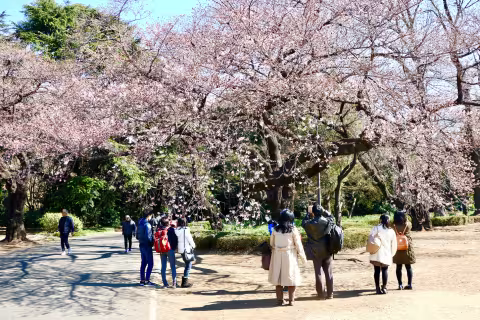 Japan_2019_-_1_(7).jpg