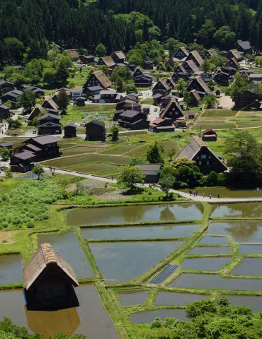 Japan_Dave_6-17B.DSC_0304.jpg
