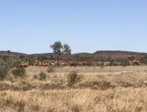 Keck_Australia_4584.jpg