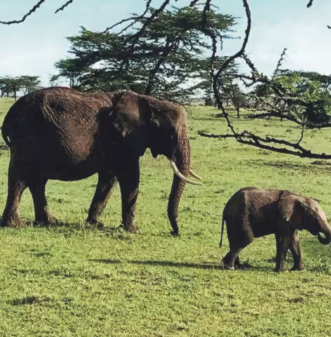 Kenya_3.jpg