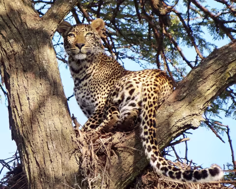 Kenya_4356.JPG