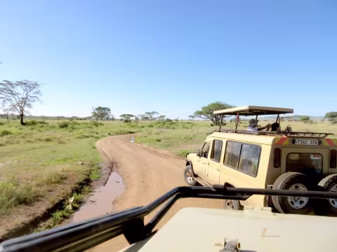 Loveland_Serengeti_NP.JPG