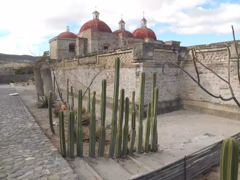 Mex_6.jpg