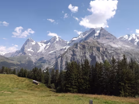 Moore_Alpenblick view.jpg
