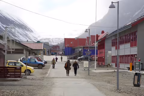 Ono_Arctic - 1.jpg