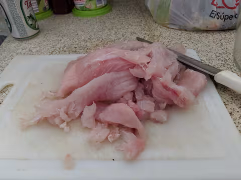 Scott_1 raw fish.jpg