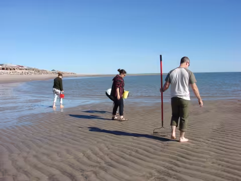 Scott_1_clamming@cottage.jpg